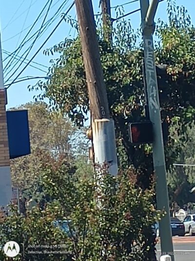 Verdese Carter Park - Oakland, CA