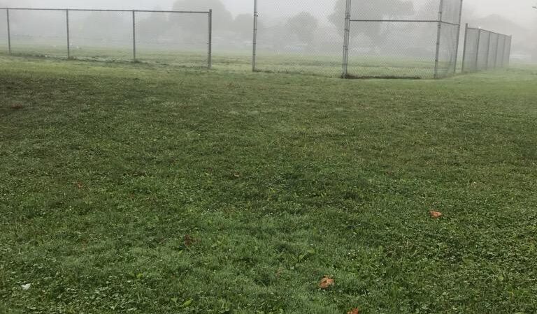 Verdese Carter Park - Oakland, CA
