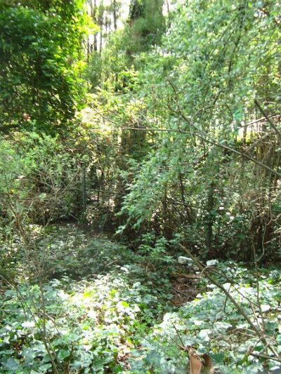 William D. Wood Park - Oakland, CA