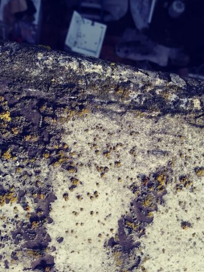 William D. Wood Park - Oakland, CA