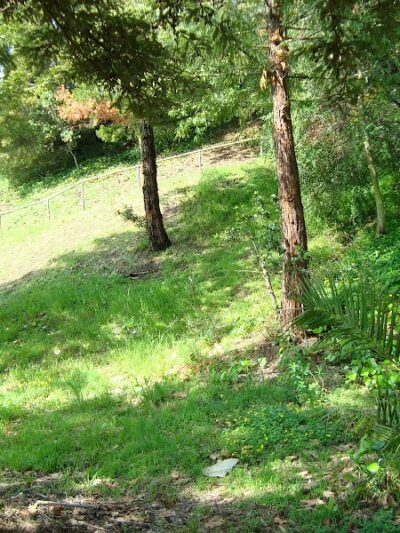 William D. Wood Park - Oakland, CA