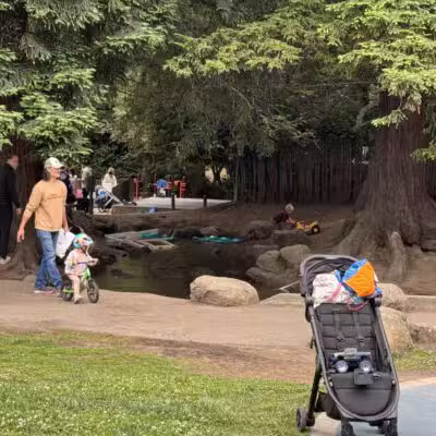 Frog Park - Oakland, CA