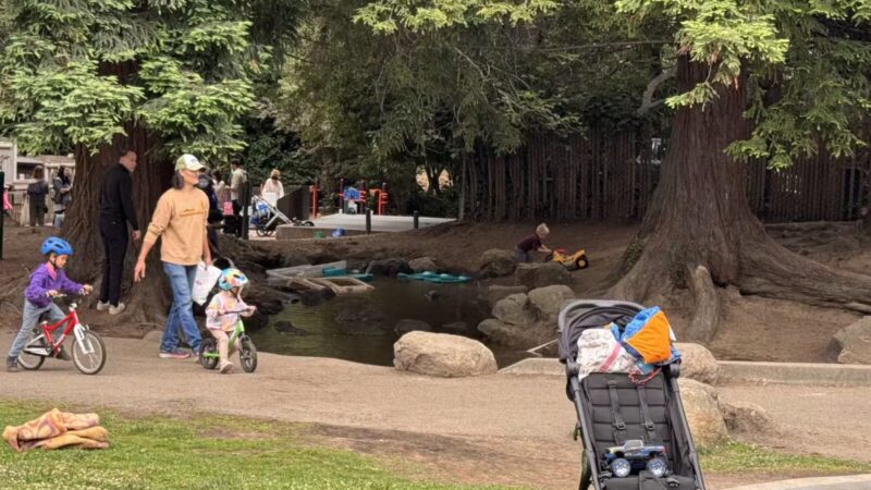 Frog Park - Oakland, CA