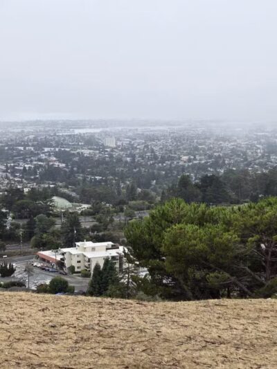 Joaquin Miller Park - Oakland, CA