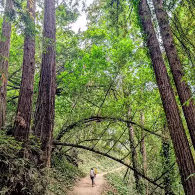 Joaquin Miller Park - Oakland, CA