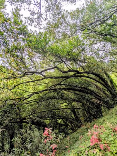 Joaquin Miller Park - Oakland, CA