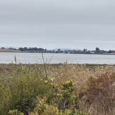 Martin Luther King Jr. Regional Shoreline - Oakland, CA