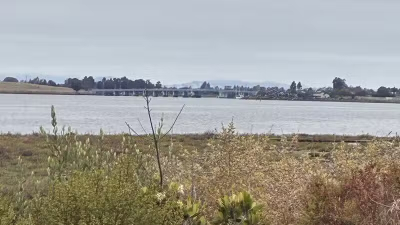 Martin Luther King Jr. Regional Shoreline - Oakland, CA