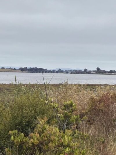 Martin Luther King Jr. Regional Shoreline - Oakland, CA