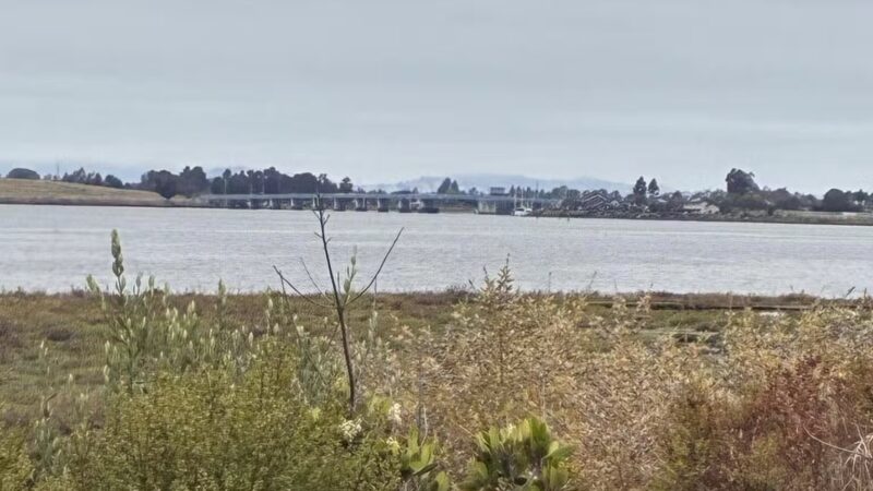 Martin Luther King Jr. Regional Shoreline - Oakland, CA