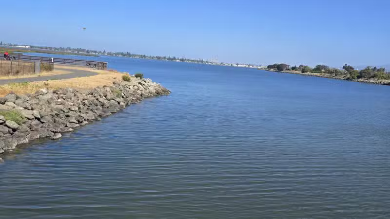 Martin Luther King Jr. Regional Shoreline - Oakland, CA
