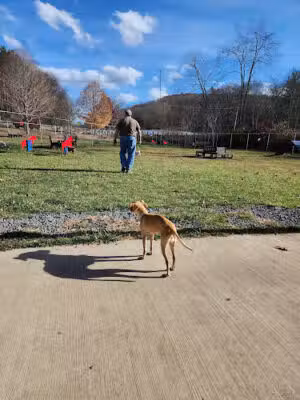 Oakland Dog Park - Oakland, MD