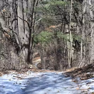 Graham Lakes Trailhead - Oakland Township, MI
