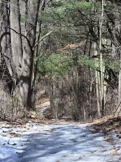 Graham Lakes Trailhead - Oakland Township, MI