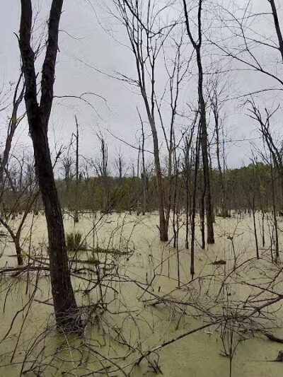 Graham Lakes Trailhead - Oakland Township, MI