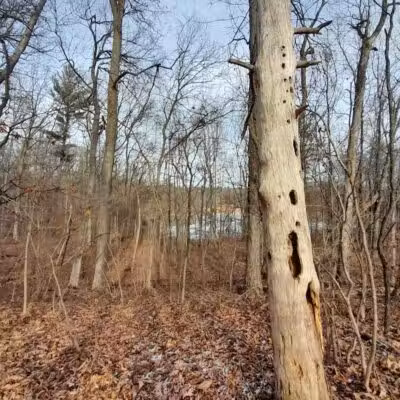 Lake George Trailhead - Oakland Township, MI
