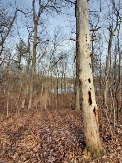 Lake George Trailhead - Oakland Township, MI