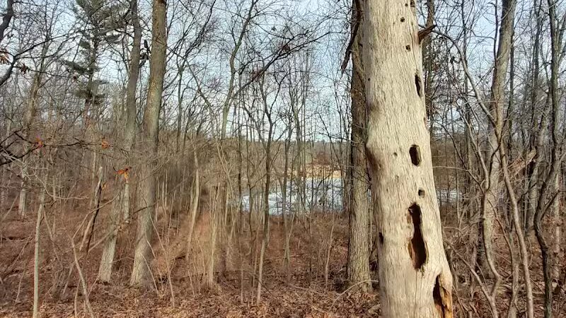 Lake George Trailhead - Oakland Township, MI