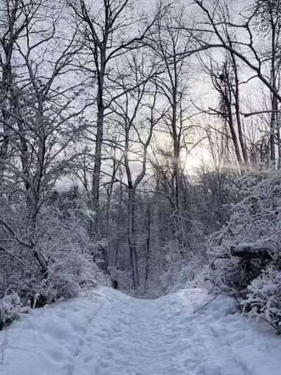 Lake George Trailhead - Oakland Township, MI