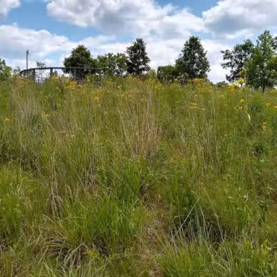 Marsh View Park West Entry - Oakland Township, MI