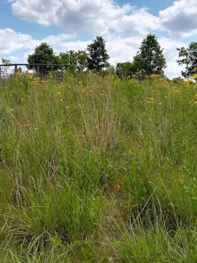 Marsh View Park West Entry - Oakland Township, MI