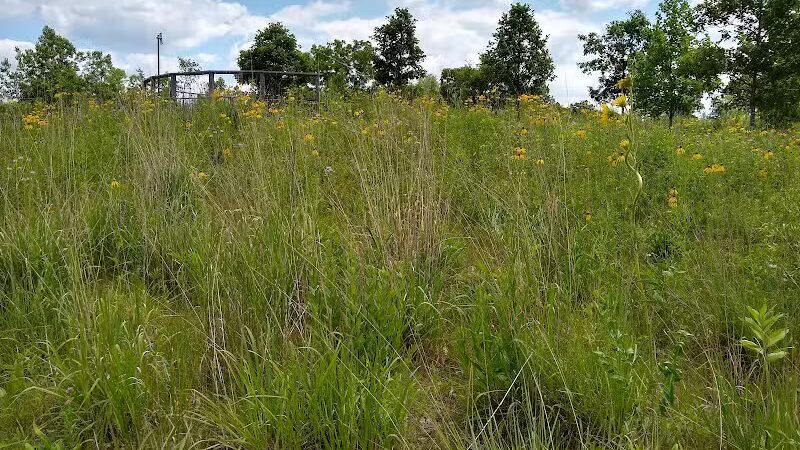 Marsh View Park West Entry - Oakland Township, MI
