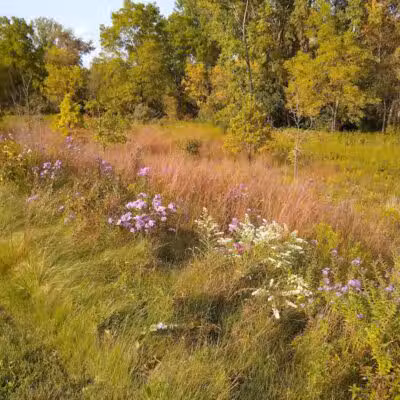 Marsh View Park West Entry - Oakland Township, MI