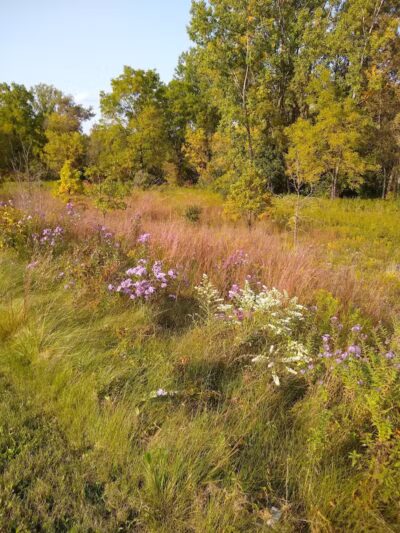 Marsh View Park West Entry - Oakland Township, MI