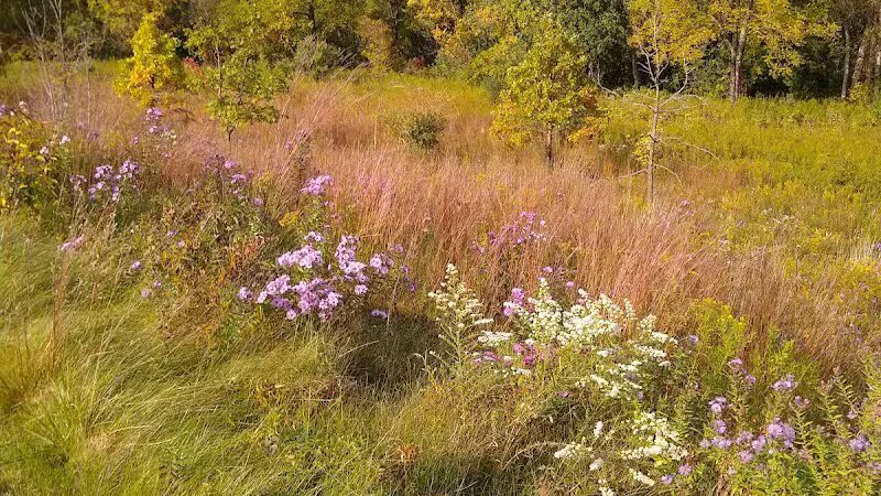 Marsh View Park West Entry - Oakland Township, MI