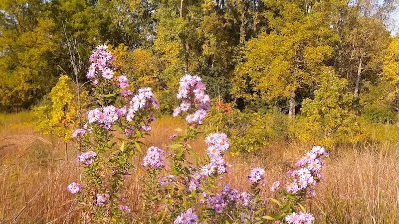 Marsh View Park West Entry - Oakland Township, MI