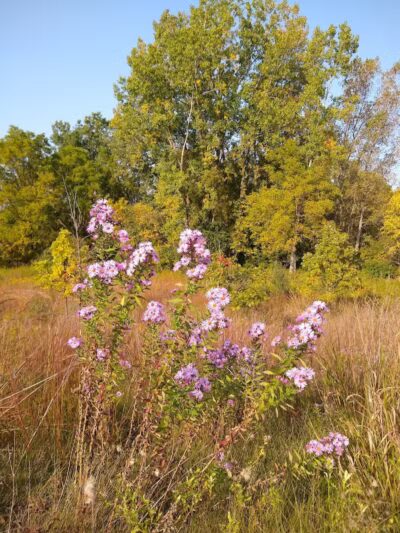 Marsh View Park West Entry - Oakland Township, MI