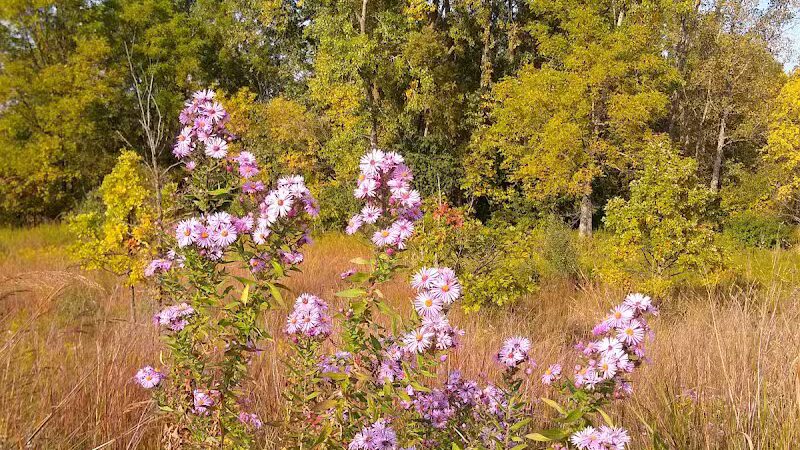 Marsh View Park West Entry - Oakland Township, MI
