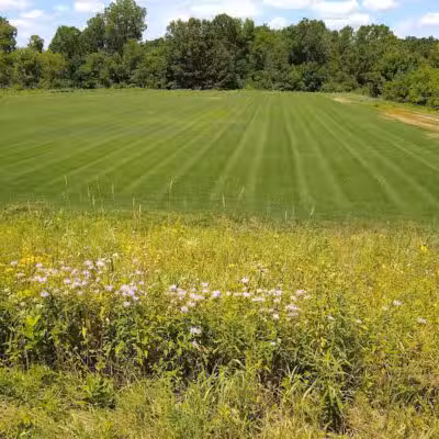 Marsh View Park West Entry - Oakland Township, MI