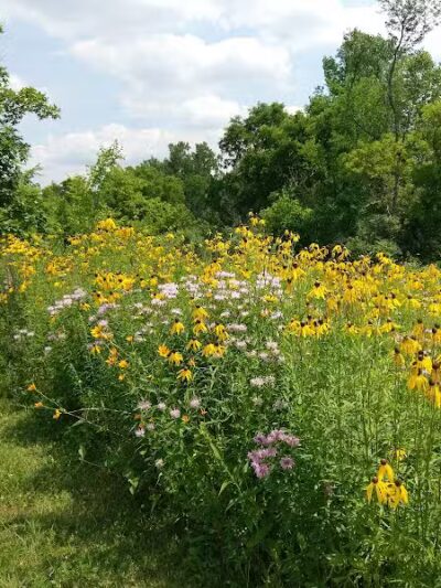 Marsh View Park West Entry - Oakland Township, MI