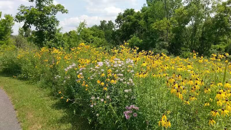 Marsh View Park West Entry - Oakland Township, MI
