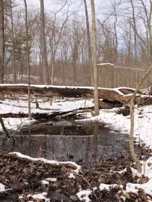 Graham Lakes Trailhead - Oakland Township, MI