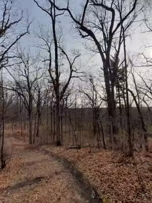 Lake George Trailhead - Oakland Township, MI