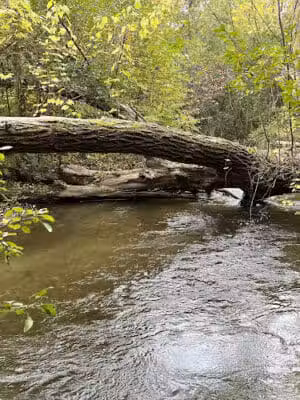 Paint Creek Junction Park - Oakland Township, MI