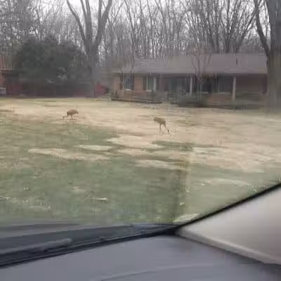 O'Connor Nature Park - Oakland Township, MI