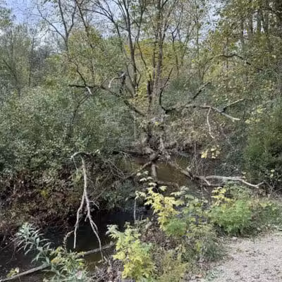 Paint Creek Junction Park - Oakland Township, MI