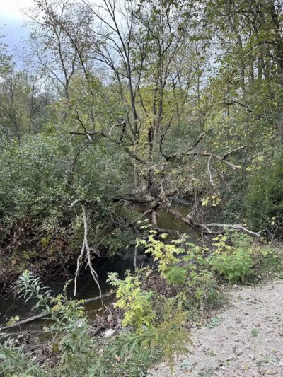 Paint Creek Junction Park - Oakland Township, MI