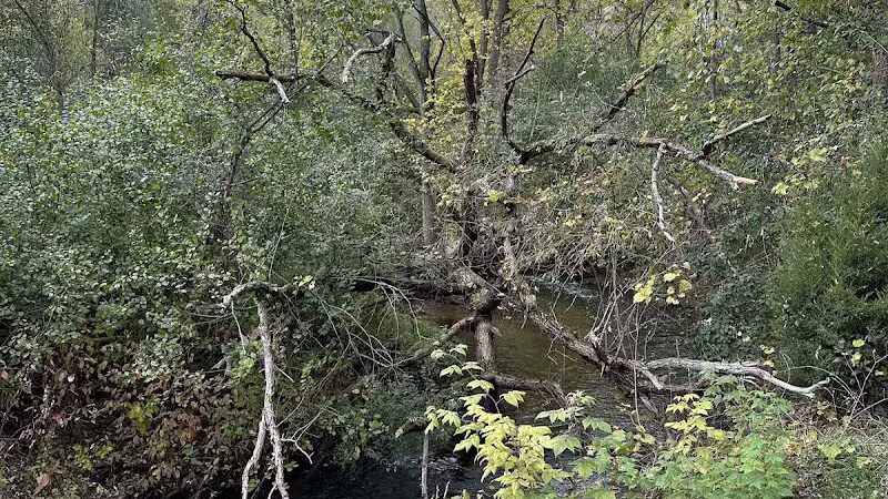 Paint Creek Junction Park - Oakland Township, MI
