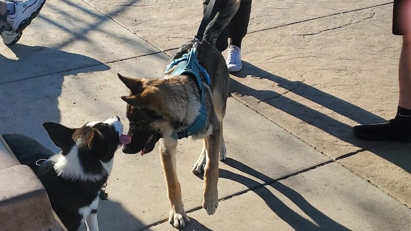 Koda Dog Park - Oakley, CA