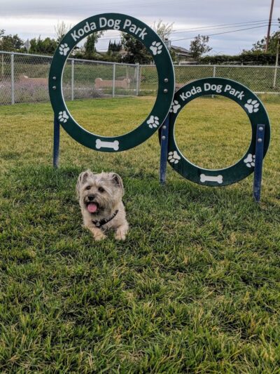 Koda Dog Park - Oakley, CA