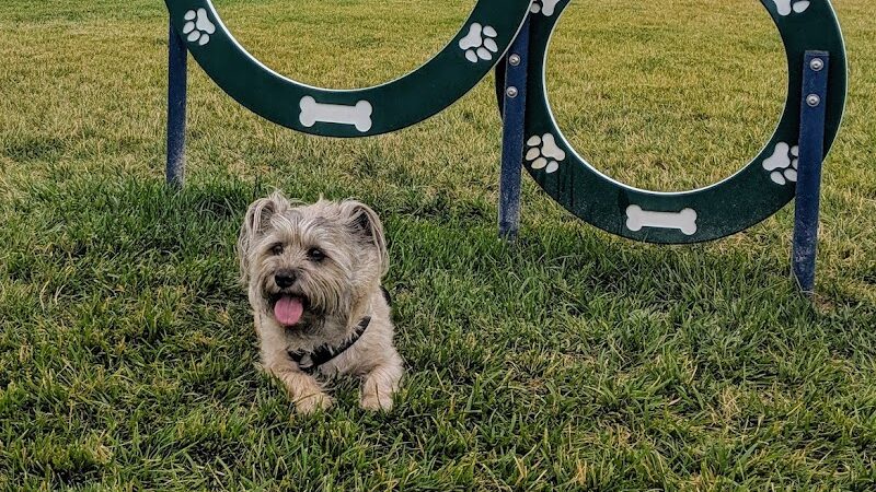 Koda Dog Park - Oakley, CA