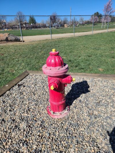 Koda Dog Park - Oakley, CA