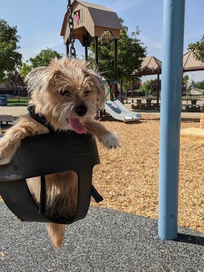 Koda Dog Park - Oakley, CA