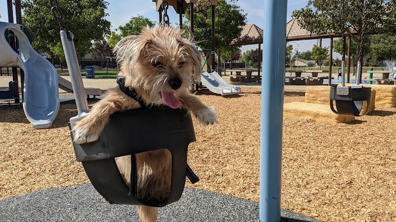 Koda Dog Park - Oakley, CA