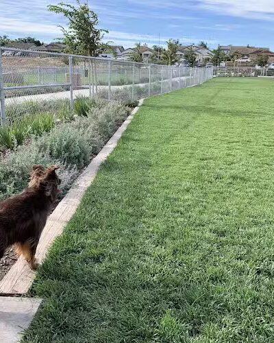 Koda Dog Park - Oakley, CA