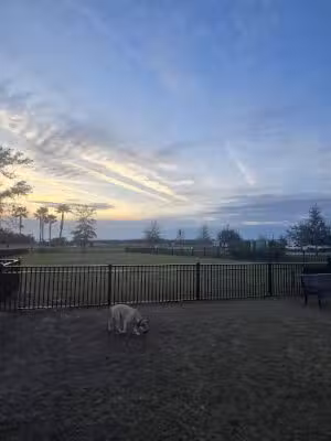 WEC Dog Park - Ocala, FL